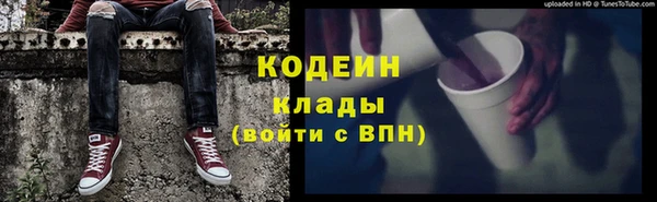 дурь Алексин