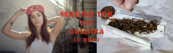шишки Горняк