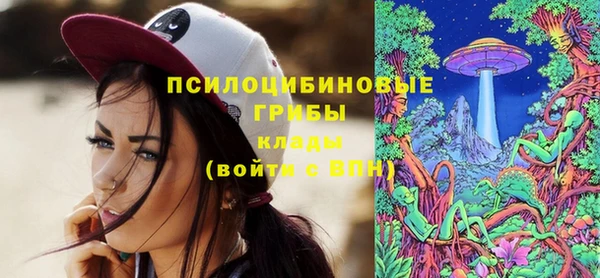 гидропоника Алзамай