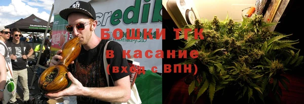 дурь Алексин