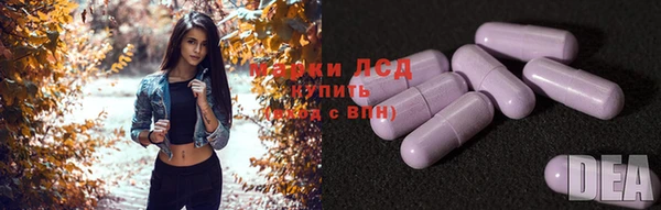 гидропоника Алзамай