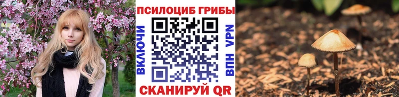 наркошоп  Калининск  Псилоцибиновые грибы ЛСД 